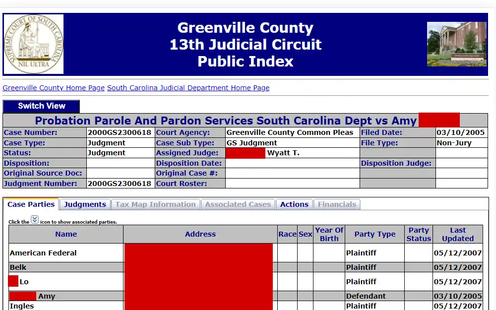 A screenshot of the search tool that allows users to look up any criminal data that has occurred in Greenville County since records started becoming digitized.