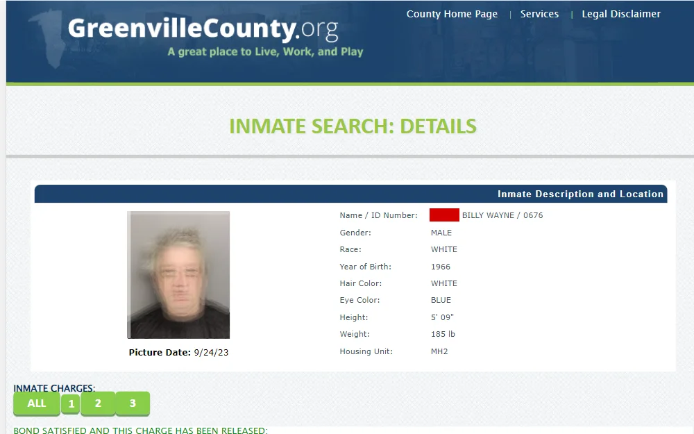 A screenshot of the search tool that members of the public can use to find recent jail data.