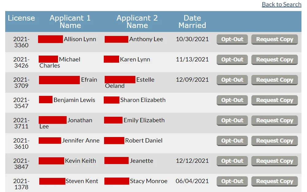 A screenshot of search results of a marriage license from the probate court of Greenville, listing the license number, names of both parties, date of marriage, and buttons to opt out and request a copy.