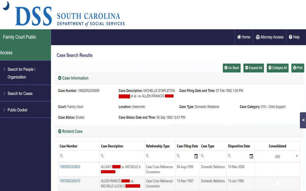 A screenshot of family court public access system showing details of a case, including the case number, involved parties, court location, status, and category related to domestic relations and support obligations, with additional tabs for related case information.