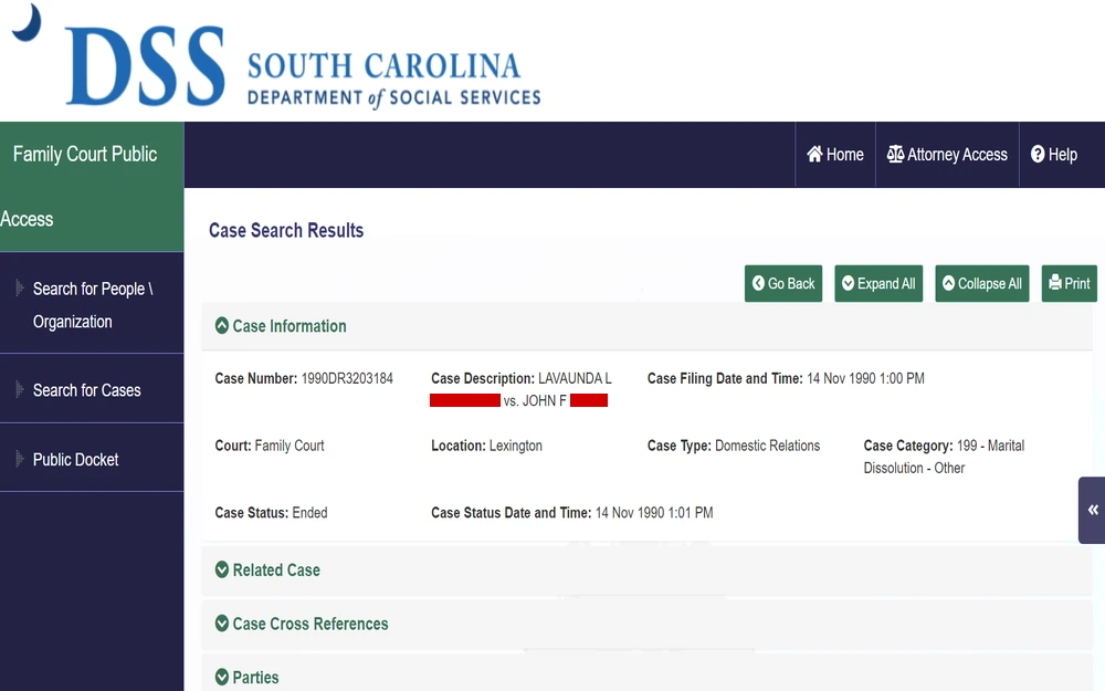 A screenshot from the South Carolina Department of Social Services showing a family court public access case search result with details about a domestic relations case, including the case number, description, court location, status, and filing date and time.