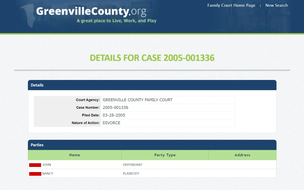 A screenshot from the Greenville County Family Court showing a case detail summary with the court agency name, case number, filing date, and nature of the action being a divorce, along with a section listing the names and party types of the involved individuals.